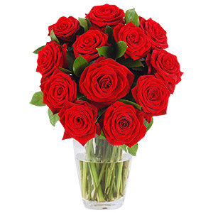 Dozen Red Rose Gift Wrap