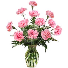 Carnation Vase