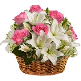 Sentimental Surprise