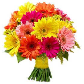 Gerbera Daisies Bouquet
