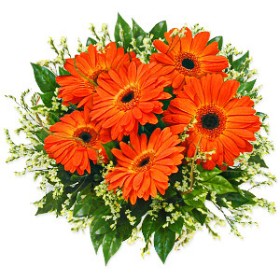 Orange Crush