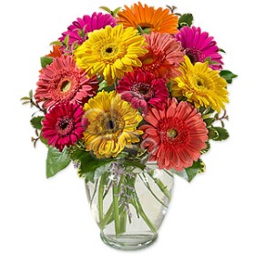 Assorted Gerberas