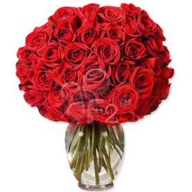 50 Red Roses Bouquet