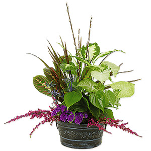 Green Thumb