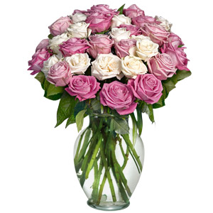 United States Florist | Send Fresh Flowers For Any Occasions | Roses ...