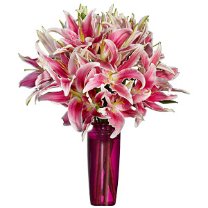 Classic Pink Lilies