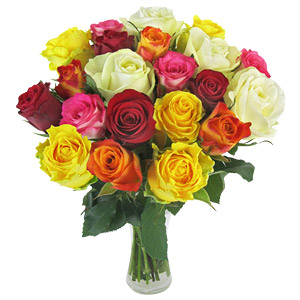 Roses Galore