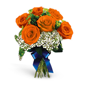 Rose Blooms
