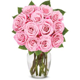 Bouquet of One Dozen Light Pink Roses