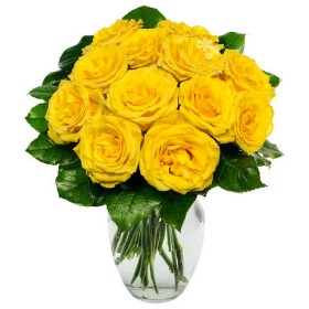 One Dozen Yellow Roses