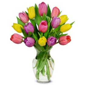 Summer Tulip Bouquet - 15 Stems