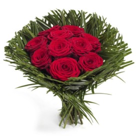 Perfection of red roses