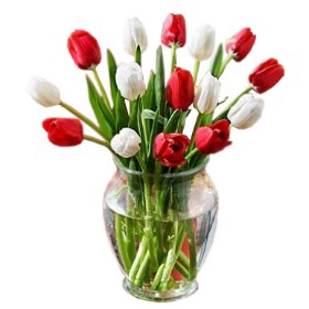 Candy Posy