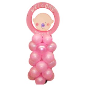 Welcome, It's a Girl!