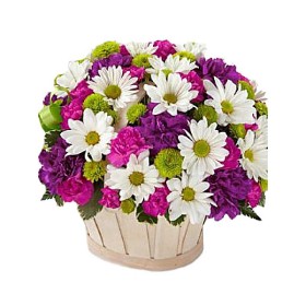 Blooming Beauty