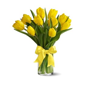 Sunshine Tulips