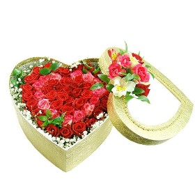 Bed of Roses